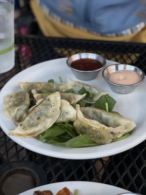 Dumplings   at Sluggo's North Vegetarian Cafe in Chattanooga