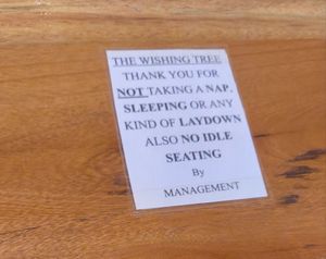 at The Wishing Tree in Moshi