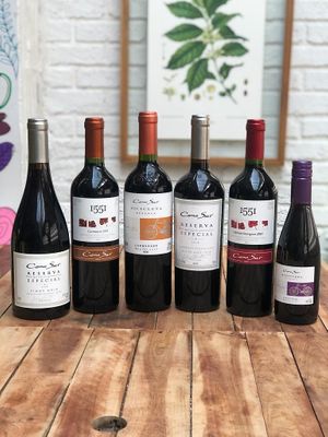 Organic Wine at Mercado Vida Saudável in Fortaleza