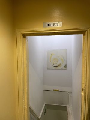 Toilets downstairs at Su Vegan Buffet in West London