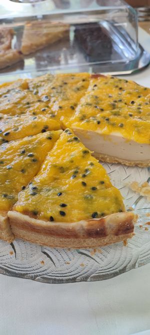  at Lettuce B in Torres Vedras