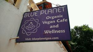 Not actually vegan at Blue Planet in Agonda