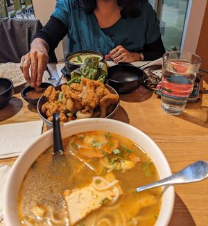 Beef pho, oyster mushrooms that taste like calamari, and spicy green curry at Green Lotus in San Jose
