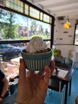 our matcha cupcake with vegan whipped cream at Vegane Glorie in The Hague