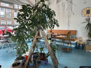   at Vegane Glorie in The Hague