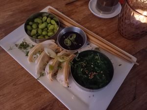 Usagi at Vegane Glorie in The Hague