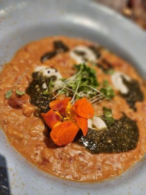  at Botanico - Colheita Criativa in Florianopolis