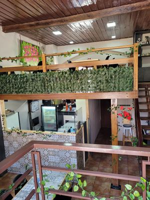 View from inside at Comer Sanar Vivir in Cuenca