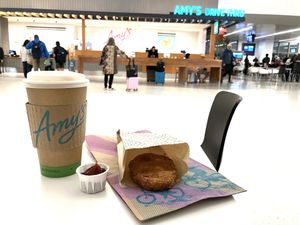 Hashbrown & latte  at SFO - Amy's Drive Thru - T1 in South San Francisco