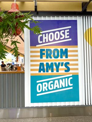   at SFO - Amy's Drive Thru - T1 in South San Francisco