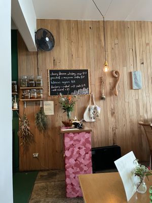   at Forest in Auckland