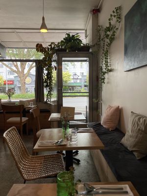   at Forest in Auckland