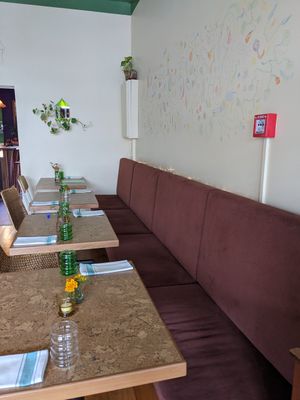  at Forest in Auckland