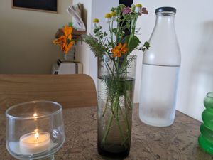  at Forest in Auckland