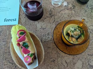  at Forest in Auckland