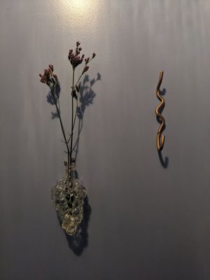  at Forest in Auckland