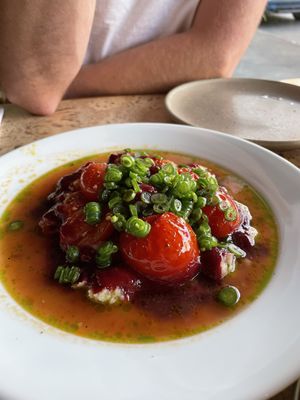   at Forest in Auckland