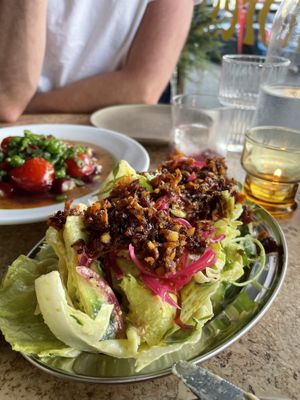   at Forest in Auckland