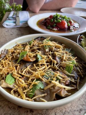   at Forest in Auckland