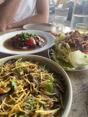   at Forest in Auckland