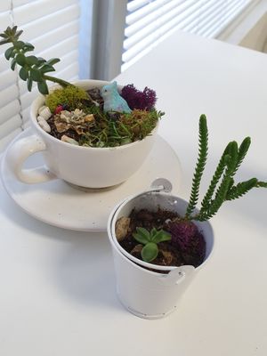 Table pieces  at Inika Foods in Wilton Manors