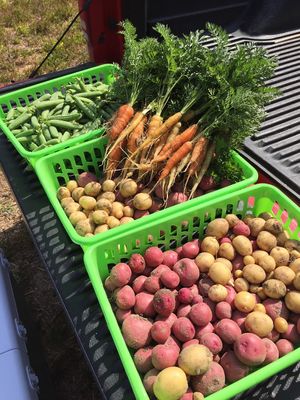 . at Cary Downtown Farmers Market in Cary