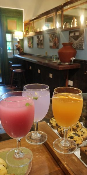 Fermented drinks made in house. at Coffee Ideas in Auroville