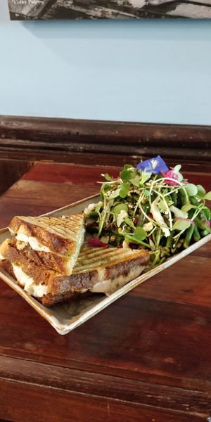 Cashewrella sandwich with,with cashew cheese at Coffee Ideas in Auroville