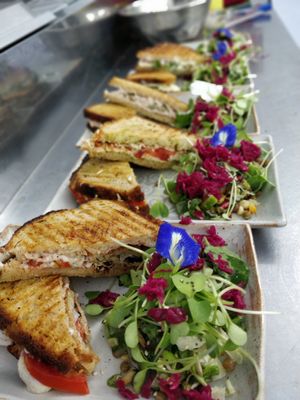Platting the vegan cheese sandwich at Coffee Ideas in Auroville