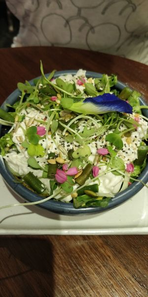 Paleo salad 🥗 at Coffee Ideas in Auroville