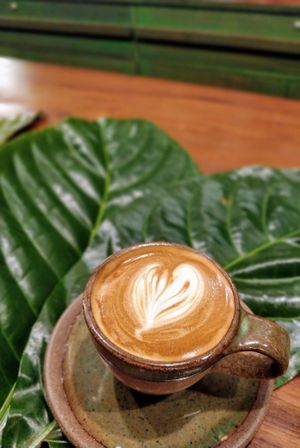 Cortado at Coffee Ideas in Auroville