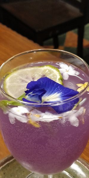 Radha consciousness Kefir at Coffee Ideas in Auroville