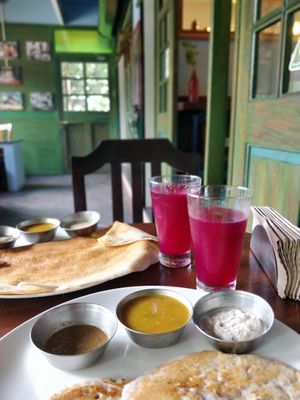 Dosa and beet kvass at Coffee Ideas in Auroville