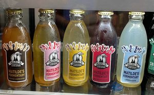 Our in house made fermented drinks at Coffee Ideas in Auroville