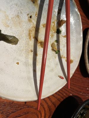 I got so excited I actually bit the tip off of one of my chopsticks. 😆  at Itadakizen in London