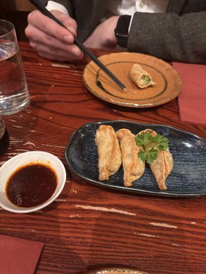 Gyoza (there were 5!)  at Itadakizen in London
