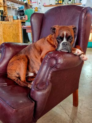 El jefe at Sip and Wonder in Alicante