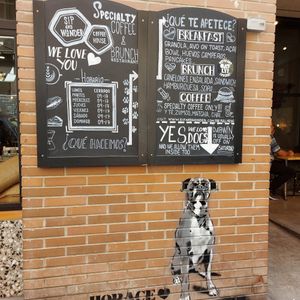 Dog art at Sip and Wonder in Alicante