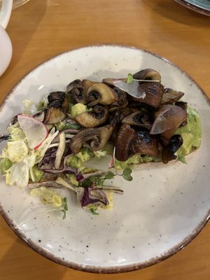 Avocado toast with mushrooms   at Sip and Wonder in Alicante