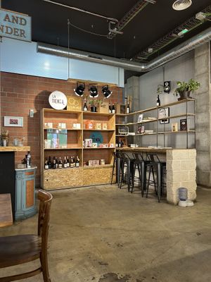 Inside look  at Sip and Wonder in Alicante