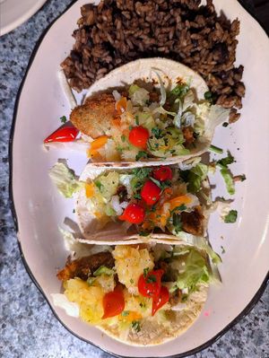 Fried avocado tacos at Old Town Mexican Cafe in Key West