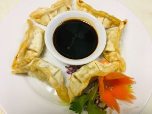 Vegetable potstickers. at Jewel of Siam in Orland Park