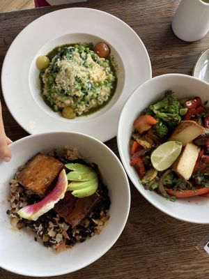   at Spirit Elephant in Winnetka