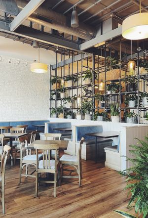   at Spirit Elephant in Winnetka