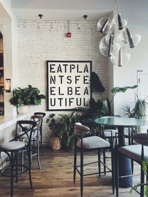   at Spirit Elephant in Winnetka