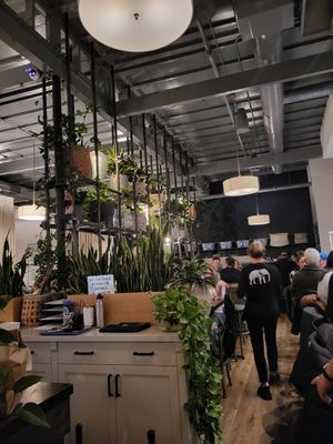  at Spirit Elephant in Winnetka