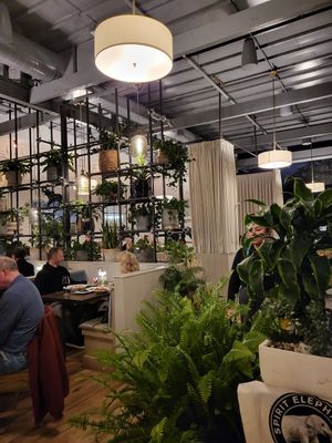  at Spirit Elephant in Winnetka