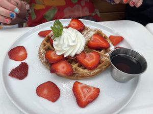   at Spirit Elephant in Winnetka