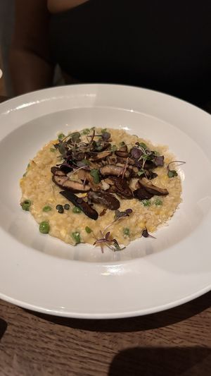   at Spirit Elephant in Winnetka