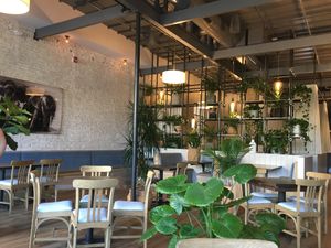 Interior  at Spirit Elephant in Winnetka